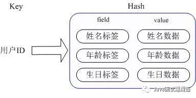 【235期】面试官：Redis的数据是存在内存里吗？谈谈Redis各种数据类型的使用场景？
