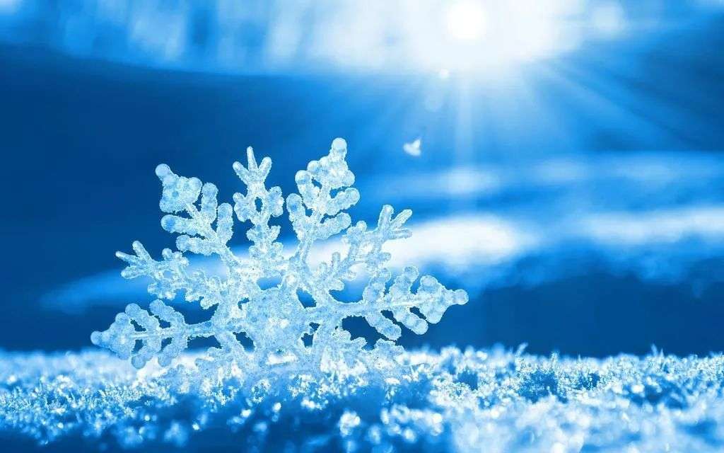 基于Redis解决集群环境下雪花算法机器号的分配问题