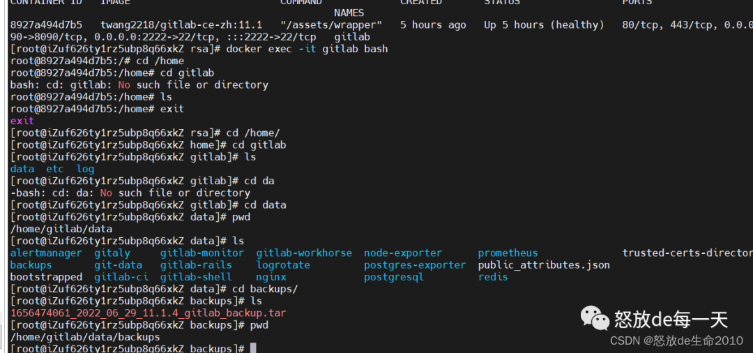 保姆级教程: 用docker搭建自己的安装gitlab并实现邮件发送，备份数据。